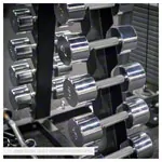 Kurzhantel-Stnder-Set mit 10 Paar Chrom Hanteln, 1-10 kg, LxBxH 74x62x128 cm