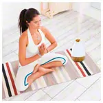 Ultraschall Luftbefeuchter Aroma Diffuser AL-1300WS