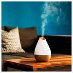 Ultraschall Luftbefeuchter Aroma Diffuser AL-1300WS