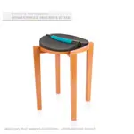 Alonea Beckenbodentrainer PelvicTool