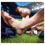 Elastoplast Optiplast C, 2,5 m x 6 cm