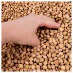 Abbildung zeigt ManuTherm Kirschkern-F�llung f�r ManuThermBox, ca. 15 Liter