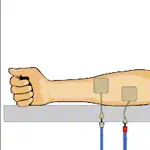Compex Elektroden Wire, 5x5 cm, 4 Stck