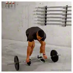 Hantelscheibe aus Gueisen, Bohrung  3 cm, 15 kg, Stck