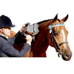 Thumper Pferdemassagegert Equine Pro