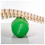 Covemo Wirbelsulenmobilisator HEALTHFIT,  12x24 cm