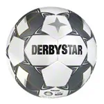 Derbystar Fuball Brillant TT v24, weiss/silber, Gre 5