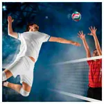 Molten Volleyball Trainingsball V5M1500, Gre 5