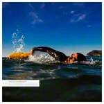 RESTUBE aufblasbare Schwimmboje und Drybag swim buoy Pro