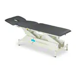 Abbildung zeigt Lojer Therapieliege Delta DP3