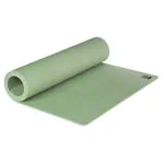 AIREX Gymnastikmatte TrExercise, LxBxH 140x60x0,6 cm