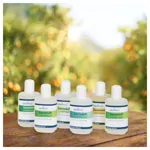 CosiMed Saunaduft-Probierset Unsere Besten, 5 Flaschen  50 ml
