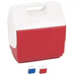 Eisbox klein, 6,6 l