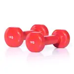 Fausthantel, 1 kg, rot, Stck