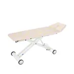Abbildung zeigt HWK Therapieliege Solid Electric 2-tlg., Breite: 65 cm