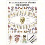 Lehrtafel 