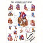 Lehrtafel 