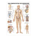Lehrtafel 