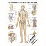 Lehrtafel 