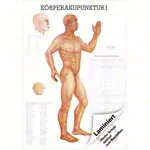 Abbildung zeigt Lehrtafel Krperakupunktur I LxB 100x70 cm