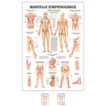 Lehrtafel Manuelle Lymphdrainage, LxB 100x70 cm