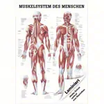 Lehrtafel 