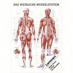 Lehrtafel 