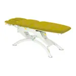 Lojer Therapieliege Capre F5R Electric 5-tlg., Dachstellung, Breite: 65 cm