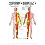 Produktbild: Mini-Poster Hautinnervation, LxB 34x24 cm