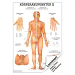 Abbildung zeigt Mini-Poster Krperakupunktur II, LxB 34x24 cm