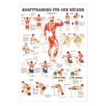 Mini-Poster Krafttraining Rcken, LxB 34x24 cm