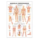 Mini-Poster Manuelle Lymphdrainage, LxB 34x24 cm