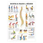 Produktbild: Mini-Poster Richtig u. falsch für Ihren Rücken, LxB 34x24 cm