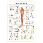 Mini-Poster Stretching III, LxB 34x24 cm
