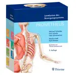 PROMETHEUS Lernkarten des Bewegungssystems, 400 Karten