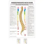 Poster Wirbeltherapie nach Dorn, LxB 70x50 cm