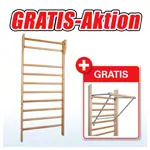 Produktbild: Sprossenwand, Aktion: Sprossenwand Standard, LxB 100x230 cm + Klimmzugb�gel GRATIS