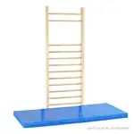 Sprossenwand, BxH 80x210 cm, 12 Sprossen