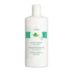 cosiMed Wellness-Massagel Fresh-Minze, 1 l