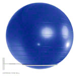 Ballhalter für 1 Gymnastikball Wandhalterung Aufbewahrungshilfe Wandhalter WEIß