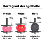 Igel-Ball hart, 5er Set: je 1x  6 cm,  7 cm,  8 cm,  9 cm,  10 cm_StripHtml