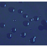 Abbildung zeigt Ölresistenter Liegenbezug mit PU-Beschichtung, 200x65 cm, blau