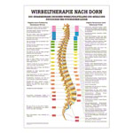 Dorntherapie Lehrtafel Anatomie 100x70 cm medizinische Lehrmittel<br> Nicht Laminiert