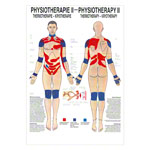 Thermotherapie Mini-Poster Anatomie 34x24 cm medizinische Lehrmittel<br> Nicht Laminiert