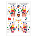 Reflexzonen Hand Mini-Poster Anatomie 34x24 cm medizinische Lehrmittel<br> Nicht Laminiert
