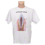 Kurzarm T-Shirt Zahn<br> Anatomie Lernhilfe