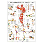 Mini-Poster Krafttraining Beine<br> Muskelaufbau