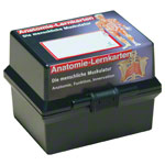Lernkärtchen Muskelsystem im Karteikasten<br> 300 Karten