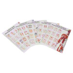 Mini-Poster Booklet 