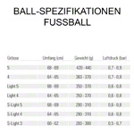 Derbystar Fußball Brillant APS Classic, Größe 5